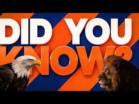 Did You Know? Amazing Wildlife Facts You’ve Never Heard Before | Educational Nature Documentary