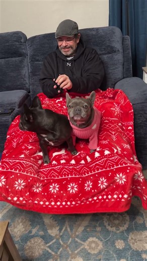 Throw Blanket Gift Idea | Perfect Christmas Throw for Sofa, Chair & Bed