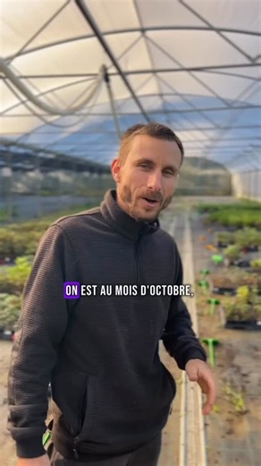 C’est le moment de planter ! 🌿 Petits fruits, vivaces ou arbustes : tous profitent encore de la chaleur du sol avant l’hiver. De nombreuses variétés sont disponibles dès maintenant sur notre site internet 🌱 | Kokopelli