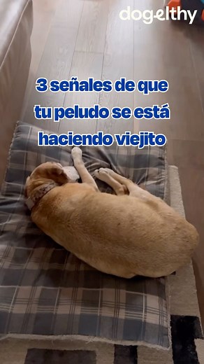 4.8K views · 18K reactions | ¡A cada paso juntos! Los años no...