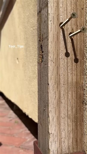 [Tool_Tips] Carpentry Lessons | Life Tool | Facebook