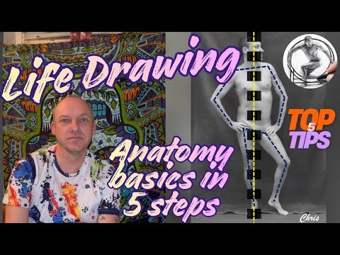 5 Life Drawing Tips to Plan a Figure Sketch (Beginner Friendly) Part One
