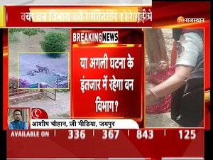 13K views · 223 reactions | #BreakingNews: किशोर को गणेश मंदिर से उठा ले गया टाइगर, क्या वन विभाग की मॉनिटरिंग हो गई फेल ? #LatestNews #RajasthanNews #RajasthanWithZee | ZEE Rajasthan News | Facebook