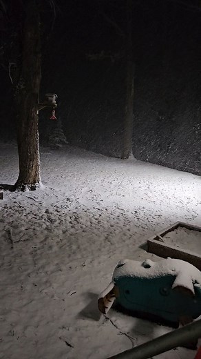 42 reactions · 14 comments | Happening now... ❄️  #winterseason #winterishere #puremichigan #northernmichigan #winterweatheradvisory | Life Up North | Facebook