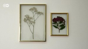 DIY: Herbarium in a frame