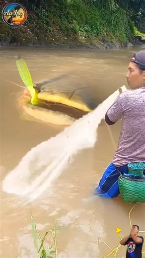 Epic Cast Net Throw! Giant Catfish Suddenly Emerges From the River!