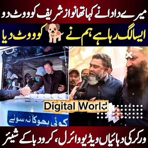 Digital World on Reels