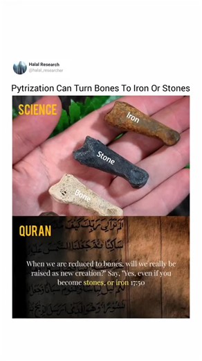Halal research on Instagram: "Visit Profile For More Miracles of Quran ⬇️ Did you know? Through fossilization, bones can literally turn to stone, and through pyritization, they can also turn to iron fossils, which is a rare but possible occurrence, as they replace bones with iron minerals. It takes millions or billions of years under rare earth conditions when bones are buried deep and minerals seep into the body, transforming them into stones or iron. Quran: And they say, "When we are reduced t
