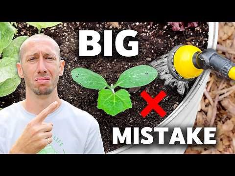 This Technique of Watering the Garden Will Change Your Life!