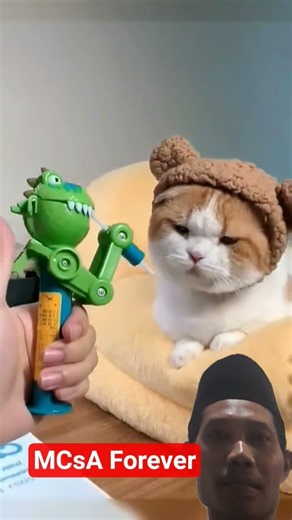 Kucing kena prank.