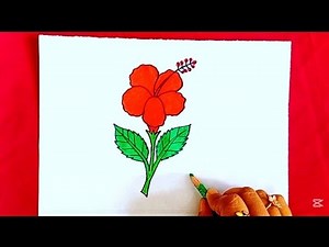 "How to Draw a Hibiscus Flower 🌺 | Easy Step by Step Drawing Tutorial for Beginners