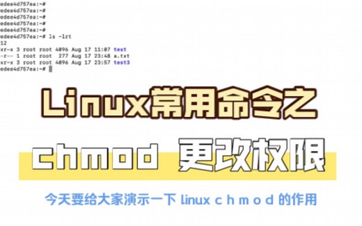 Linux常用命令之chmod更改文件目录权限