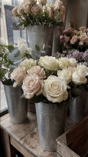 Je te comprends — Meaning in French