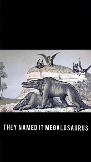 Megalosaurus: The First Dinosaur Ever Discovered! #shorts