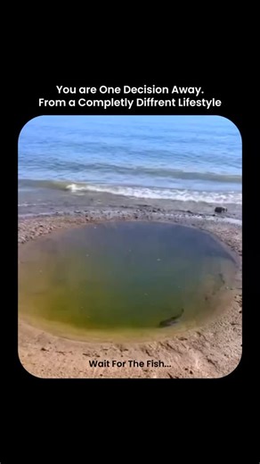 RiseCo on Instagram: "🔗 Crush 2026 with our tool in Bio The jump looks scary because it’s unknown, but the truth is simple: big results come from a single brave move followed by consistent tiny actions. The problem isn’t the fear, it’s staying comfortable long enough to never find out what you could’ve become. Make the jump practical, not dramatic. Pick one clear next action today (a test, a pitch, a call), protect the time to do it, and repeat the smallest follow-up until it becomes routine. O