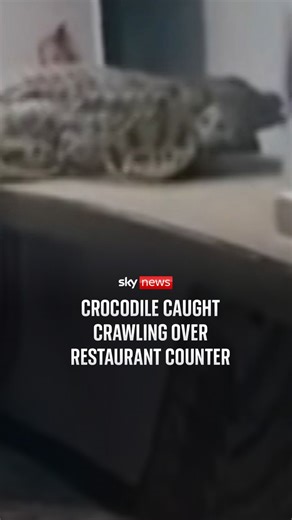 Someone can't be hungry without their hunger being turned into content??? What is the world coming to?