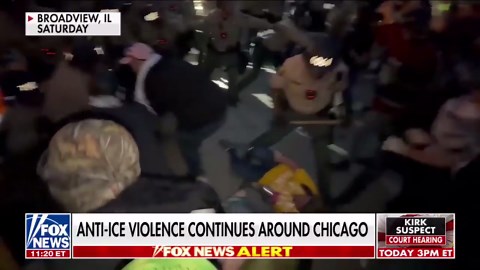 Ari Fleischer says anti-ICE violence, border chaos ‘devastating’ for Democrats