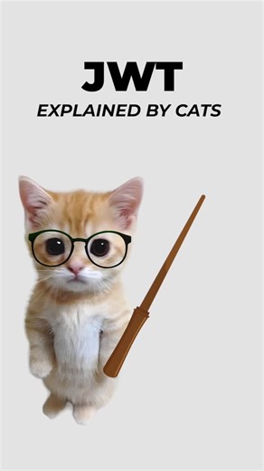 coding.kitty on Instagram: "JWT, explained by cats. #cat #code #tokens #security #json"