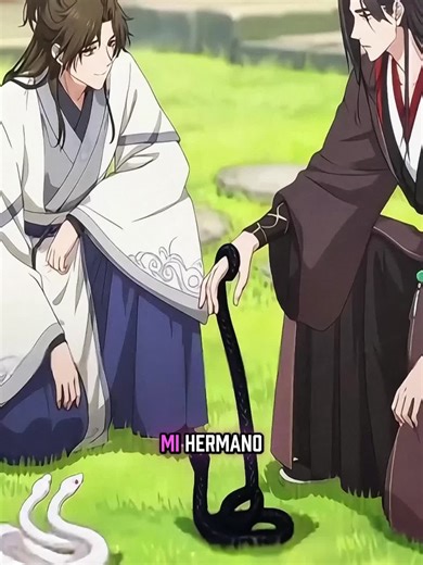 Reborn as a Legend: The Plan-T Chronicles Explained