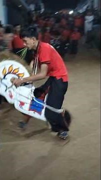 SATRIO PANDOWO | #jaranan #bantengan #culture #event #shorts #clips #subscribe