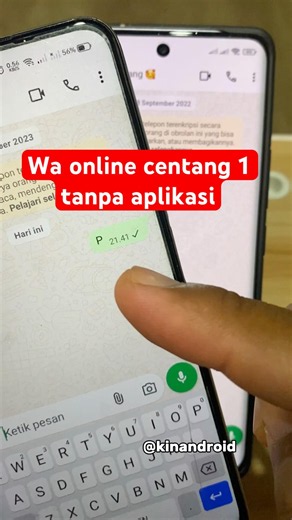 Cara wa centang 1 padahal online tanpa aplikasi #wa #centang1 #tanpaaplikasi