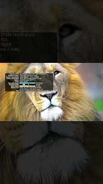 The Downfall Of The Budget Streaming Device? First Firestick Now The Onn 4K Pro Recall #cordcutting