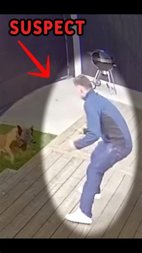 Police K9 Takes Down Fleeing Suspect