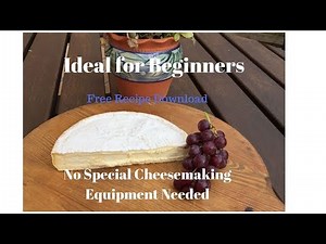 Make Brie at Home for Beginners or Intermediates - NEVER FAILS