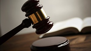 PETA sues university lab for footage of primate experiments