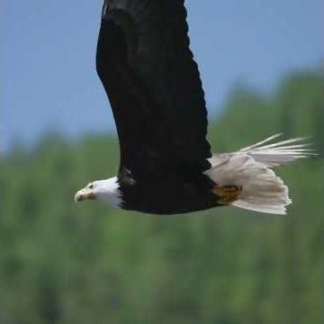 🎶 The Essence of Balochistan, The Music of Sindh 🎶🌍