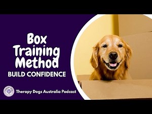 S4:E9 Building Your Dog’s Confidence With The Box Training Method