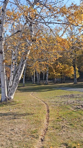 Fayette one of many Upper Peninsula Ghost Towns. | Memories by Andy