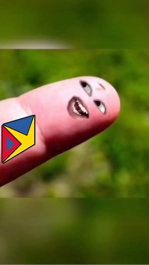 18K views · 10K reactions | Inflamación [Capitulo 2] (Plus version) #aprende #reels #medicina #divertido #stopmotion | Doctor Yumper | Facebook