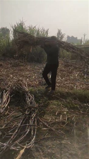 #jaibajrangbali #jaishreeram #automobile #viralshort #farming ##life