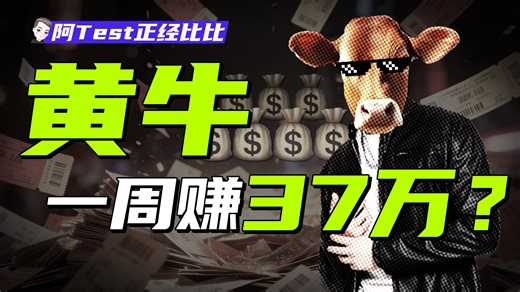 脚本抢票，演唱会白手套，黄牛都是坏的吗？【阿Test正经比比】
