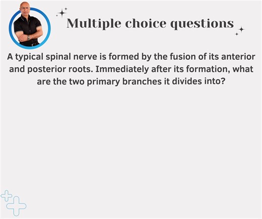 19K views · 237 reactions | To make your Concepts Crystal Clear about Typical Spinal Nerves, watch our series of lectures on "Typical Spinal Nerve, Formation, Contents & Branches Part 1 & 2" at www.drnajeeblectures.com | Dr. Najeeb | Facebook