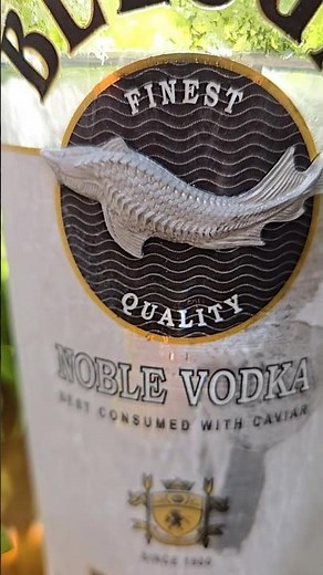 Beluga Vodka
