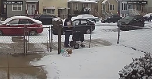 Mail carrier caught on video dropping packages over Chicago woman's fence