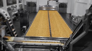 Wide view of industrial taralli production line with finished snacks on conveyor.