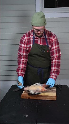 Processing a whole duck #shorts #waterfowl