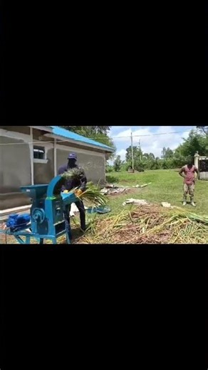 Dual Purpose Silage Equipment: RTG Chopper/Grinder