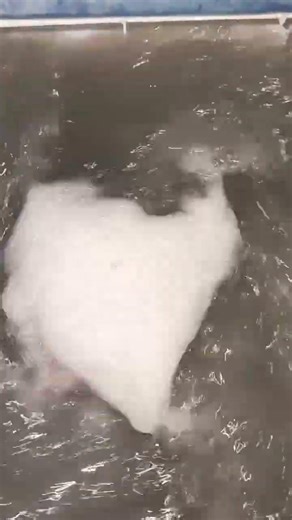 beko washing machine speed #testing #speed #wash #machine