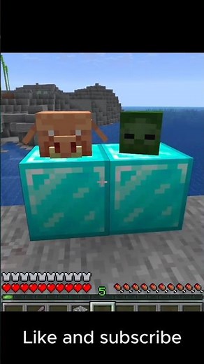 Secret Way to Get Zombie & Piglin Heads