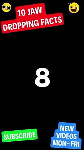 These Are The Most COMFORTABLE Socks You'll Ever Wear!