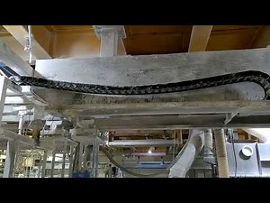Cable Drag Chain System