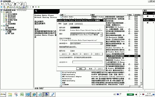 Windows Media Player Network Sharing Service