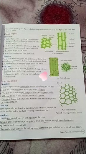 class 9th biology chapter 2 explanation