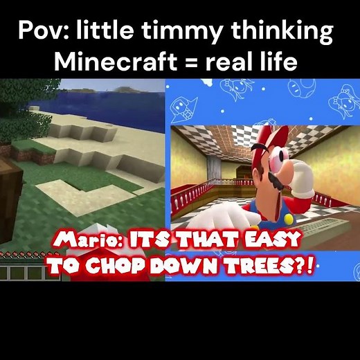 Minecraft is not like real life kids. #minecraft #smg4 #mario