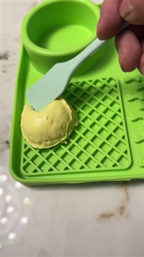 Homemade Dog Food Recipe for Your Wiener Dog