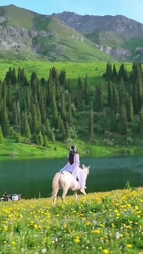 Beautiful scenery.🌲🌿🌊⛰️#scenery #beautiful #foryou #traveltiktok #fyp#cure #tiktok #recommendations